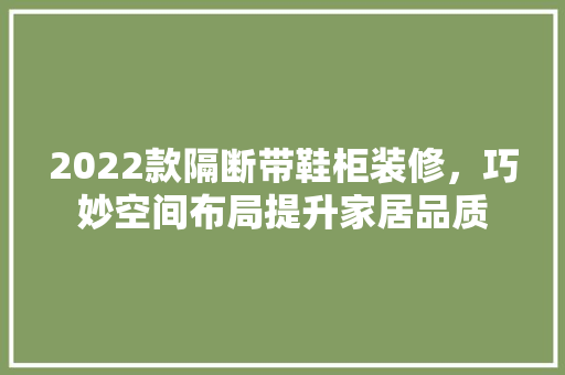 2022款隔断带鞋柜装修，巧妙空间布局提升家居品质