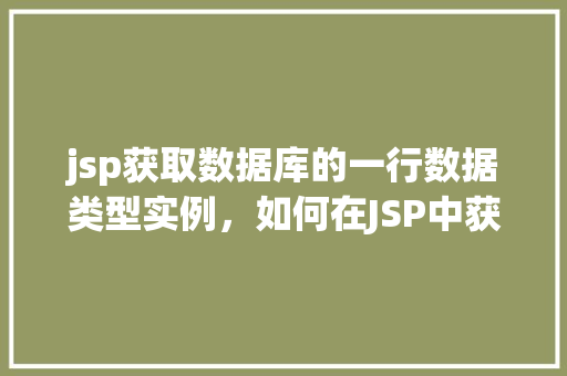 jsp获取数据库的一行数据类型实例，如何在JSP中获取数据库一行数据的实例演示