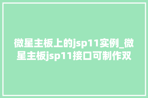 微星主板上的jsp11实例_微星主板jsp11接口可制作双bios