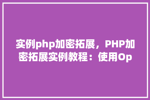 实例php加密拓展，PHP加密拓展实例教程：使用OpenSSL进行数据加密