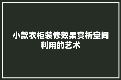 小款衣柜装修效果赏析空间利用的艺术