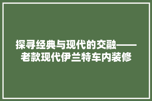 探寻经典与现代的交融——老款现代伊兰特车内装修