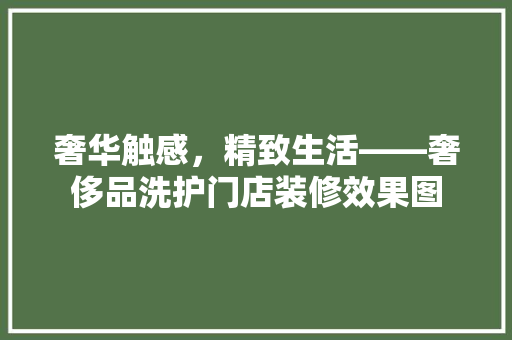 奢华触感，精致生活——奢侈品洗护门店装修效果图