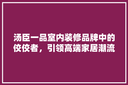 汤臣一品室内装修品牌中的佼佼者，引领高端家居潮流
