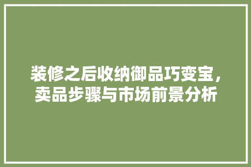 装修之后收纳御品巧变宝，卖品步骤与市场前景分析