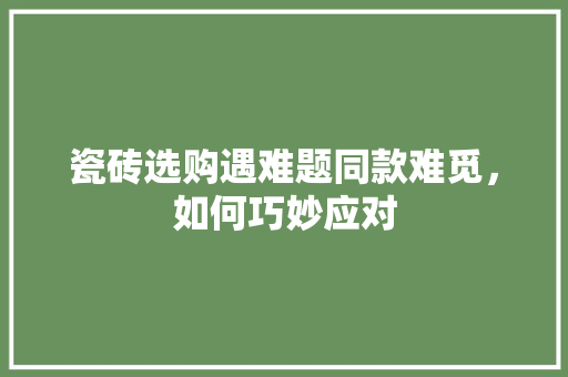 瓷砖选购遇难题同款难觅，如何巧妙应对  第1张