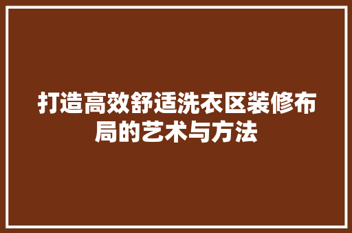 打造高效舒适洗衣区装修布局的艺术与方法