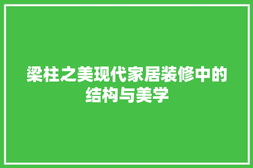 梁柱之美现代家居装修中的结构与美学