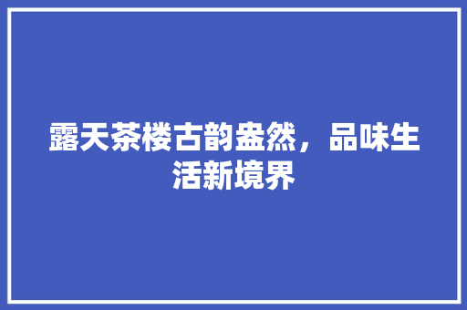 露天茶楼古韵盎然，品味生活新境界