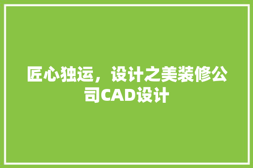 匠心独运，设计之美装修公司CAD设计