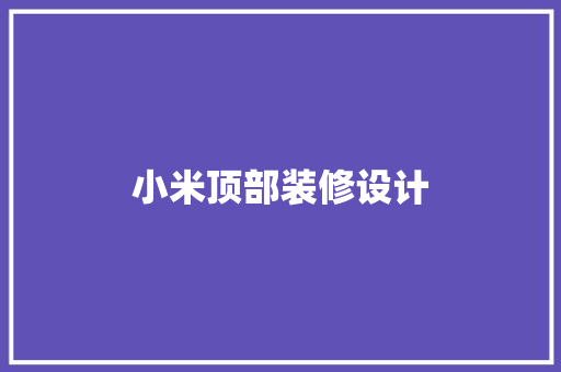 小米顶部装修设计  第1张