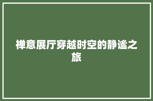禅意展厅穿越时空的静谧之旅  第1张