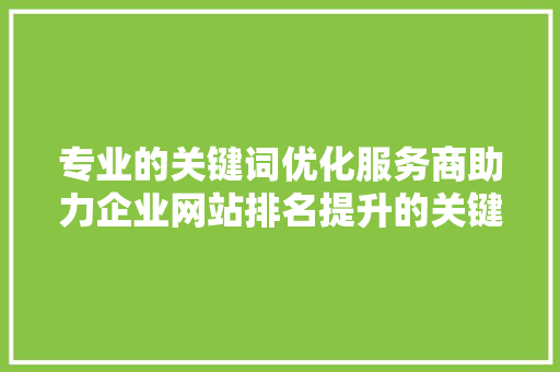 专业的关键词优化服务商助力企业网站排名提升的关键