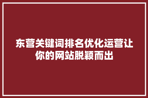 东营关键词排名优化运营让你的网站脱颖而出